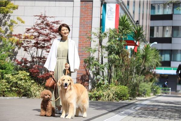 もっとtokyo対象プランも 今 東京観光におすすめの2ホテル 愛犬のためのフルサービスホテル Inumo芝公園 有明で天然温泉 グルメも楽しめる ヴィラフォンテーヌ グランド 東京有明 22年6月17日 エキサイトニュース もっとtokyo対象プランも 今 東京観光におすすめの2ホテル 愛犬のためのフルサービスホテル Inumo芝公園 有明で天然温泉 グルメも楽しめる ヴィラフォンテーヌ グランド 東京有明 22年6月17日 エキサイトニュース