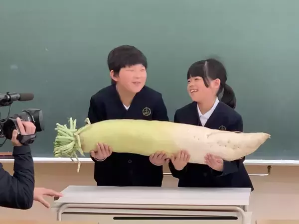 健康食品の万田発酵がジャンボ野菜を収穫