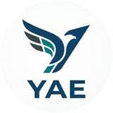 「沖縄・石垣島発のブロックチェーン地域通貨「八重山トークン（YAE）」が、2026年6月1日より実証実験を開始」の画像1