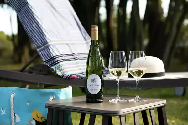 南仏の港町が育てた魚介のための白ワイン、「ポール・マス ピクプール・ド・ピネ 2024」新発売