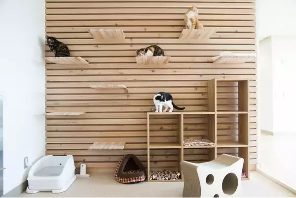 猫の健康を見守るIoTねこトイレを開発するトレッタキャッツが神奈川県動物愛護センターとネーミングライツパートナーを更新。保護猫の救済活動支援を継続。