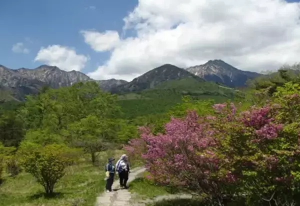 八ヶ岳南麓・清里高原 美し森で季節を感じるトレッキングツアーを開催　2024美し森トレッキングツアー参加者募集