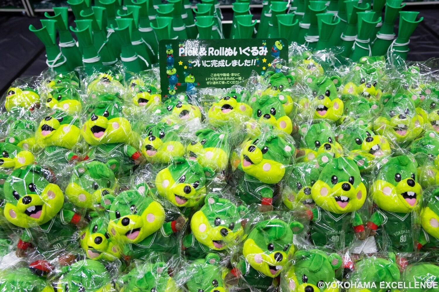 プロバスケットボールクラブ 横浜エクセレンス、新たな歴史へ。