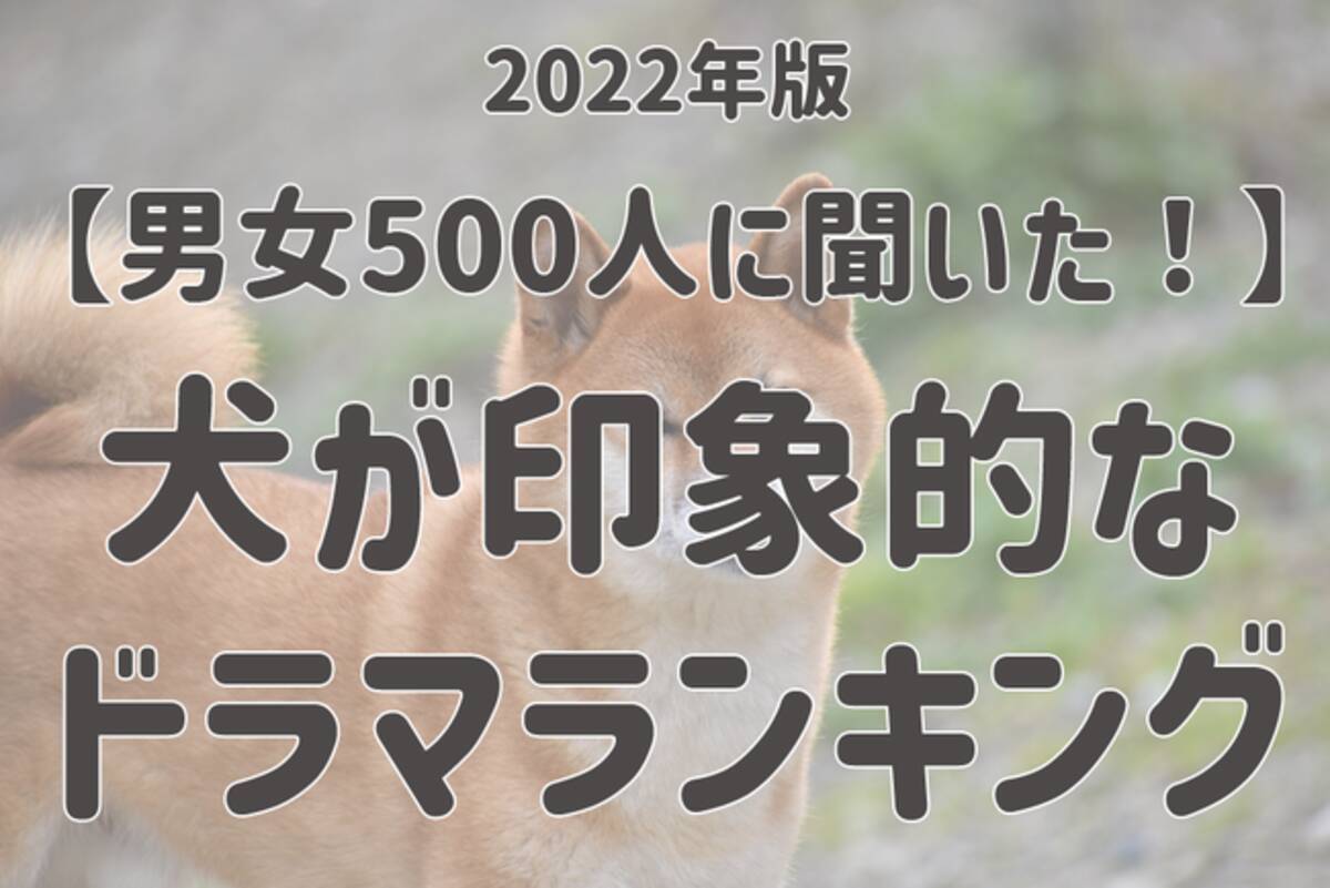 男女500人に聞いた 犬が印象的なドラマランキング 第2位は マルモのおきて 22年6月24日 エキサイトニュース 3 6