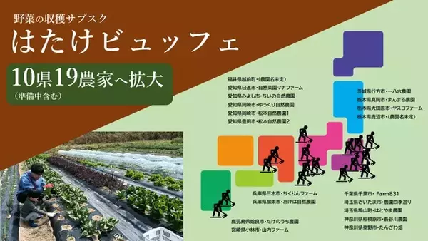 野菜採り放題サービスで消費者も生産者も得する！「収穫サブスク農園」が全国7県に拡大【兵庫・鹿児島で新規オープン】