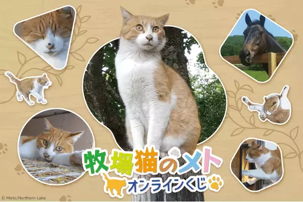 「牧場猫のメト」オンラインくじが登場！ ノーザンレイクの看板猫メトさんやパンチくんのグッズが盛りだくさん！