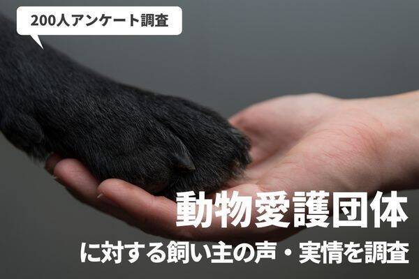 「里親になる条件が時代にあってない？」保護犬に興味がある200人に動物愛護団体に対するリアルな意見を調査 (2022年9月1日