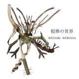 「【奈良 蔦屋書店】「棍棒の世界」フェア開催」の画像1