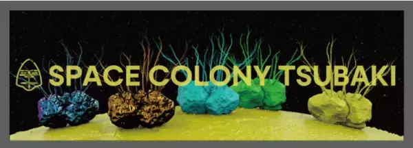 椿昇（京都芸術大学 教授）によるNFT Metaverseプロジェクト「Space Colony Tsubaki」が始動！