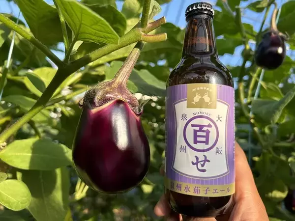 ＜水ナスがビールになった！＞300本限定製造！自然の恵みを堪能できる水ナスとクラフトビールの至福のペアリング【純国産馬刺しと朝引き鶏 にほんいち 大阪堺筋本町店】