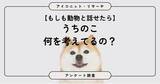 「【動物と話せたら？】8割超が選んだのは珍しい動物より「身近な動物の本音」　6,832人に聞いてみた【SEO・AIO時代に効く一次データ・アンケート調査受託】」の画像1