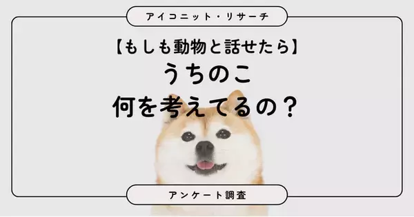 【動物と話せたら？】8割超が選んだのは珍しい動物より「身近な動物の本音」　6,832人に聞いてみた【SEO・AIO時代に効く一次データ・アンケート調査受託】