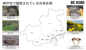 神戸市、自然環境保全活動に対する補助を行います