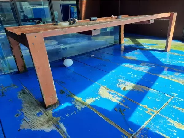 【SDGs取り組み】『伊勢シーパラダイス』×『もくいち・マルゴ株式会社』による、三重県「木づかい宣言」の制度を活用したSDGsの取り組み