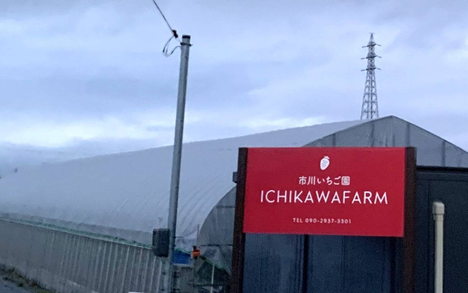 市川いちご園、国産いちごと吉野本葛を使った、とろける新食感「いちご生わらび餅」開発ストーリー
