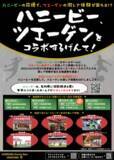 「【石川県スポーツチームコラボ企画】ハンドボール"北國ハニービー石川"の応援で、サッカー"ツエーゲン金沢"の激レア体験が当たる！」の画像1