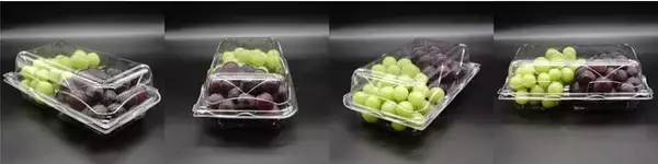 エフピコチューパ、青果物汎用容器ＧＰＲシリーズに新提案「ＧＰＲ-Ｌ-２．６Ｈ」縦置きも可能！大量目の仕切付き容器を新発売！