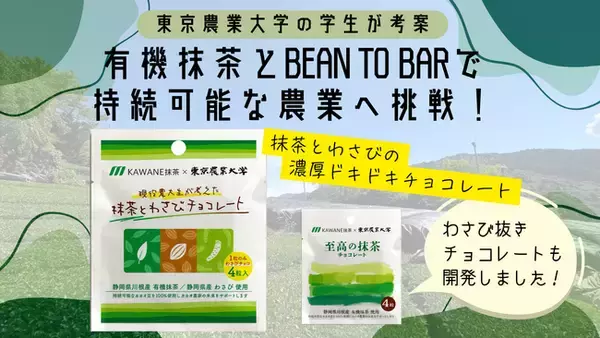 農大生と静岡のお茶企業が開発！有機抹茶とわさびのロシアンルーレットチョコを発売