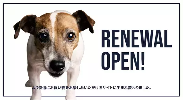 《POCHI》より快適に楽しめるサイトに。POCHIサイトを全面リニューアル
