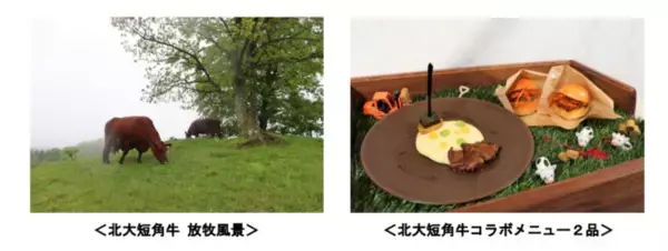 北大ブランド食材のアンバサダーとして情報発信中！ 京王プレリアホテル札幌 × 北大短角牛 コラボメニューを開発！