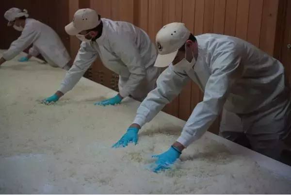 「新潟から世界へ｜ギリシャとの国際文化交流と「テロワール」を軸とした津南醸造による地方創生の挑戦」の画像