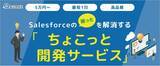 「Salesforceの困ったを解消する「ちょこっと開発サービス」をリリース」の画像1