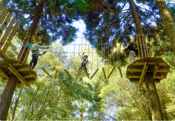 「こども冒険バンク」にフォレストアドベンチャーが初の自然体験を提供