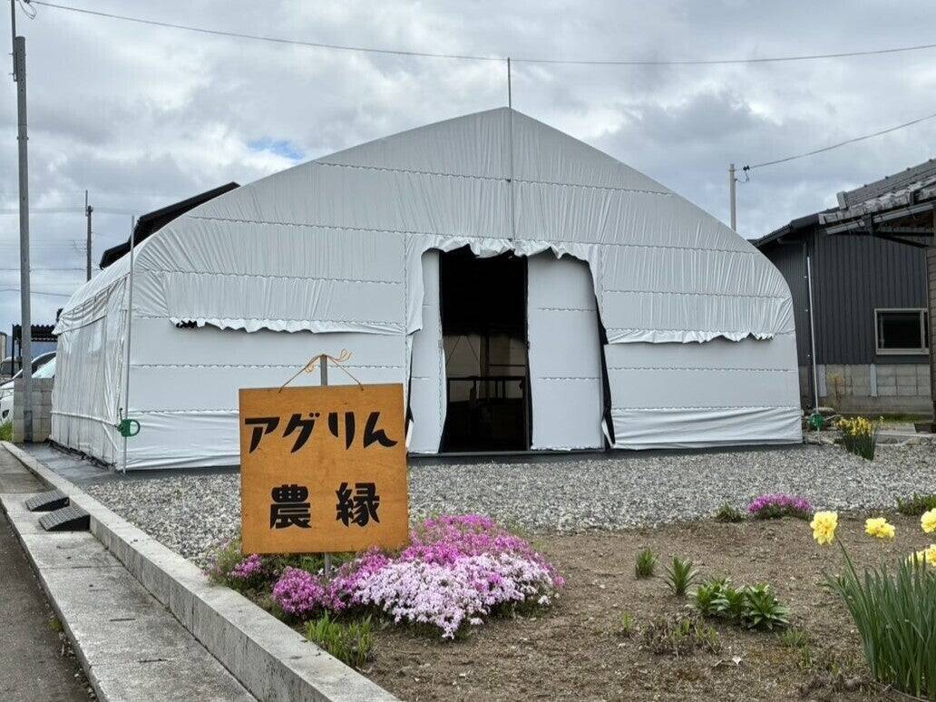 プロ野球独立リーグ選手から農業へ転身。後継者不在の梨園を親子で引き継いだ「アグリん農縁」の挑戦