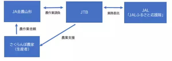 JA全農山形・JTB・JALが農業支援で連携　 ～さくらんぼ県「山形」の食と農を未来へつなぐ～