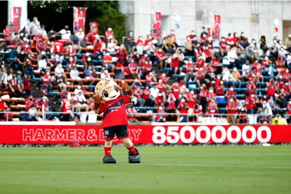 いわきFC「ハーマー&ドリー」背番号決定のお知らせ