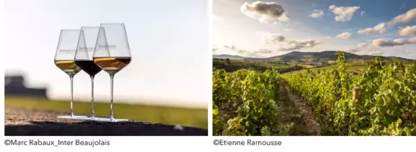 ボジョレーヌーボー2025、今年も登場！新酒の香りとともに秋を祝う