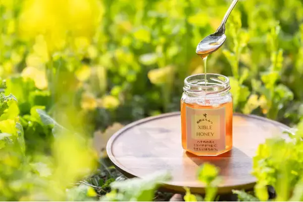 ＴＯＡシブル　自社で育てた純粋はちみつの販売を開始