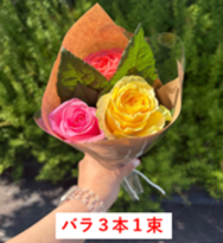 【初開催】市役所ロビーが“バラ色”に染まる3時間！市の花「バラ」と大人気「薔薇のバターサンド」や「ばら小町」が西尾市役所に大集合