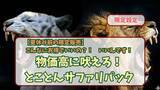 「物価高騰に立ち向かう家族応援プラン 期間限定販売のお知らせ」の画像1