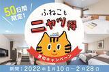 「【阪九フェリー】「ふねこもニャッ得　貸切料無料キャンペーンを実施」」の画像1