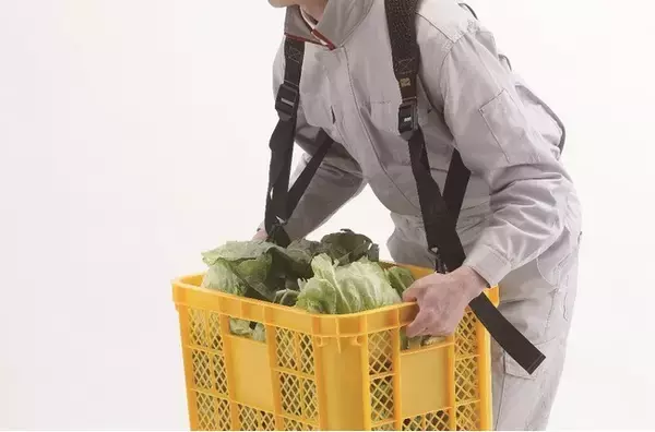 2021年度グッドデザイン賞受賞コメリオリジナル「らくらくコンテナベルト」が新発売！収穫作業における肩や腰の負担を軽減します