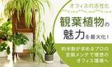 「【オフィスの活性化】観葉植物の魅力を最大化！約半数が求めるプロの定期メンテで理想のオフィス環境へ」の画像1