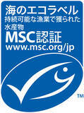 「MSCの海洋管理基金が持続可能な漁業の推進および海洋生物保護の研究支援のため200万ドル超の助成金を授与」の画像1
