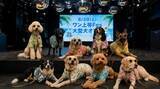 「猛暑でも大型犬と快適に遊べる。WHATAWONが室内イベント「ワン上等Fes Summer Party」を8月29日開催」の画像1