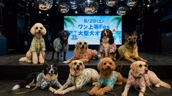 猛暑でも大型犬と快適に遊べる。WHATAWONが室内イベント「ワン上等Fes Summer Party」を8月29日開催