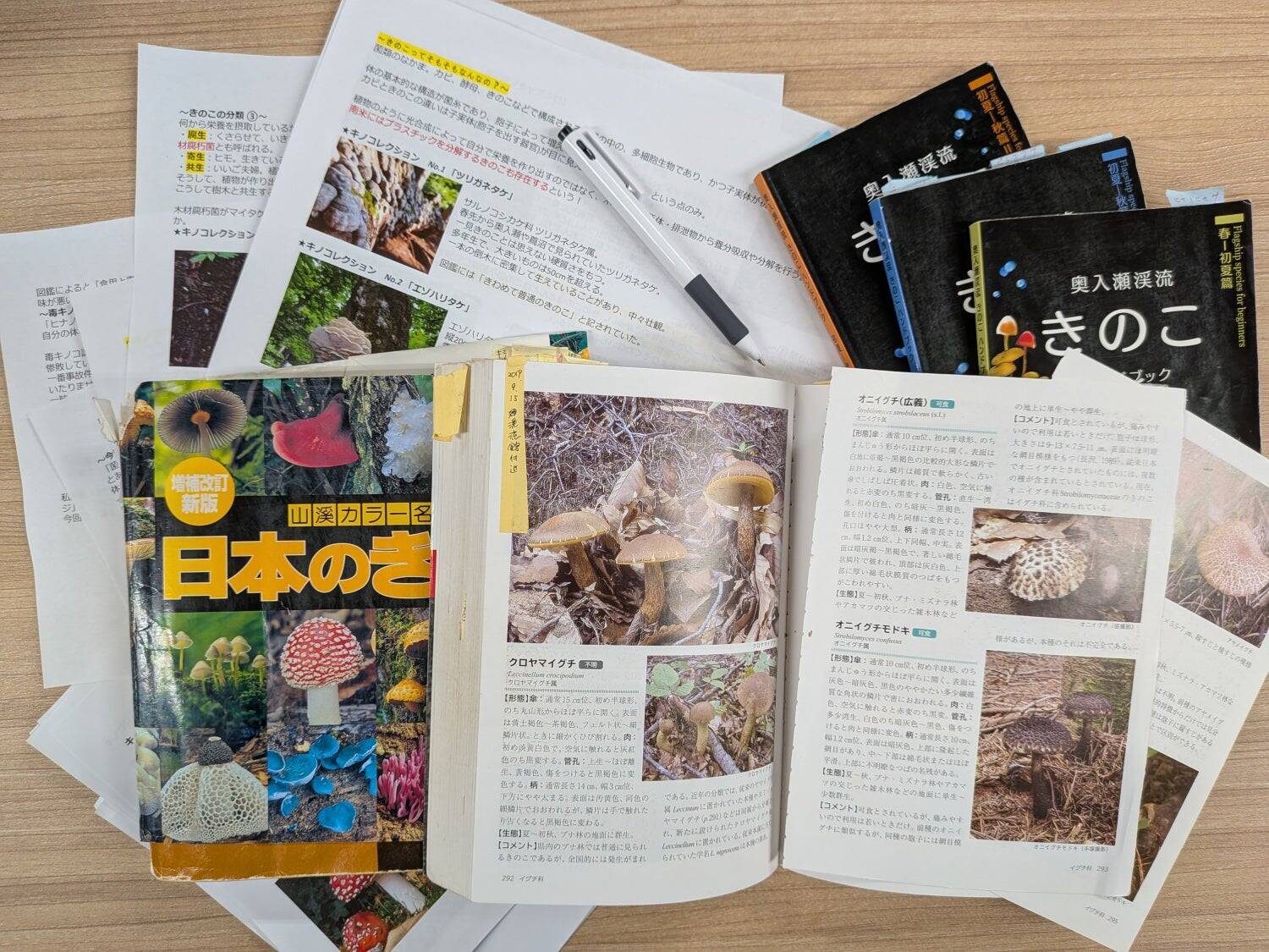 【純粋な狂気】参加者ゼロの“お荷物ツアー”が「毒きのこ」で予約率70%に大化けした理由