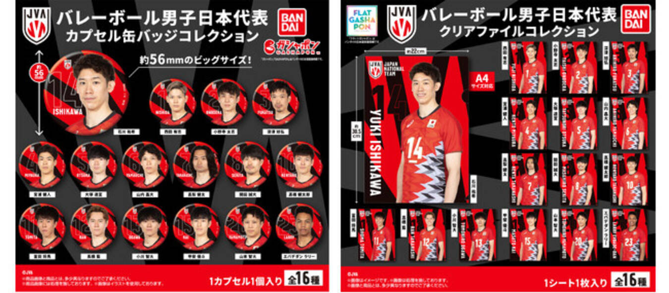 バレーボール男子日本代表 クリアファイルコレクション 12 うまく 高橋藍