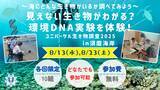 「見えない生き物がわかる？環境DNA実験を体験！ユニバーサル生き物調査2025」の画像1