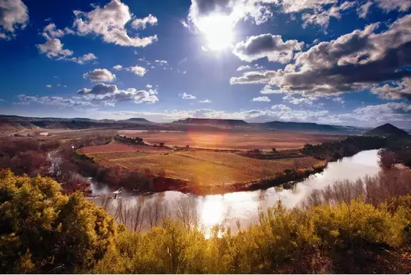 スペインワイン＆スピリッツ試飲商談会が2025年11月に開催（東京）主催：日西商業会議所