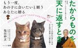 「失って初めて気づくことがある。親のありがたみ、友人の大切さ、ペットの存在の偉大さもそうである。『たからものを天に返すとき』刊行」の画像1