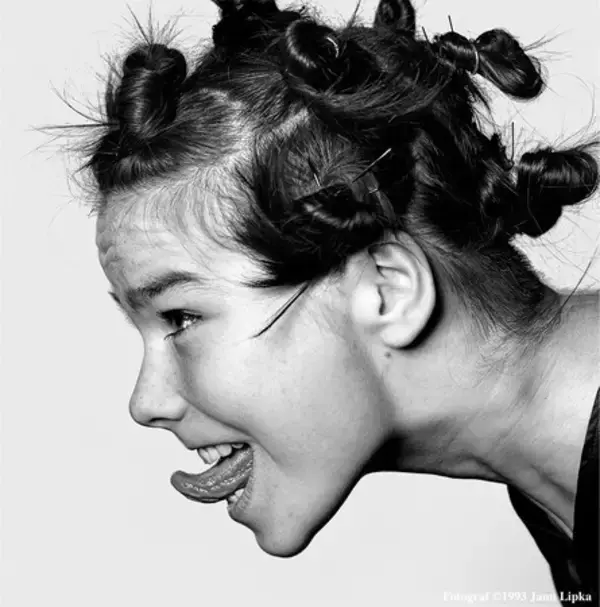スウェーデンはストックホルムを拠点に活動する写真家、Jann Lipkaによる 1993年のBjorkを捉えた、歴史的ポートレートが Tシャツとしてリリース