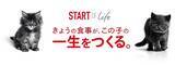 「きょうの食事が、この子の一生をつくる。ロイヤルカナン、「Start of Life キャンペーン」を今年も実施」の画像1