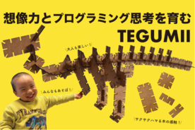 名大生が開発した木製組み立て知育玩具『TEGUMII(テグミー)』が「CAMPFIRE」でクラウドファンディング開始！