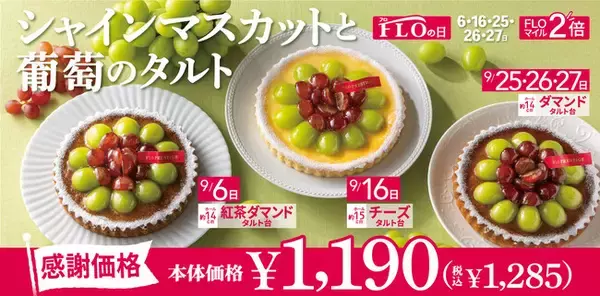 【毎月5日間は“FLOの日”】秋葡萄の季節♪9月FLOの日限定「シャインマスカットと葡萄のタルト」登場