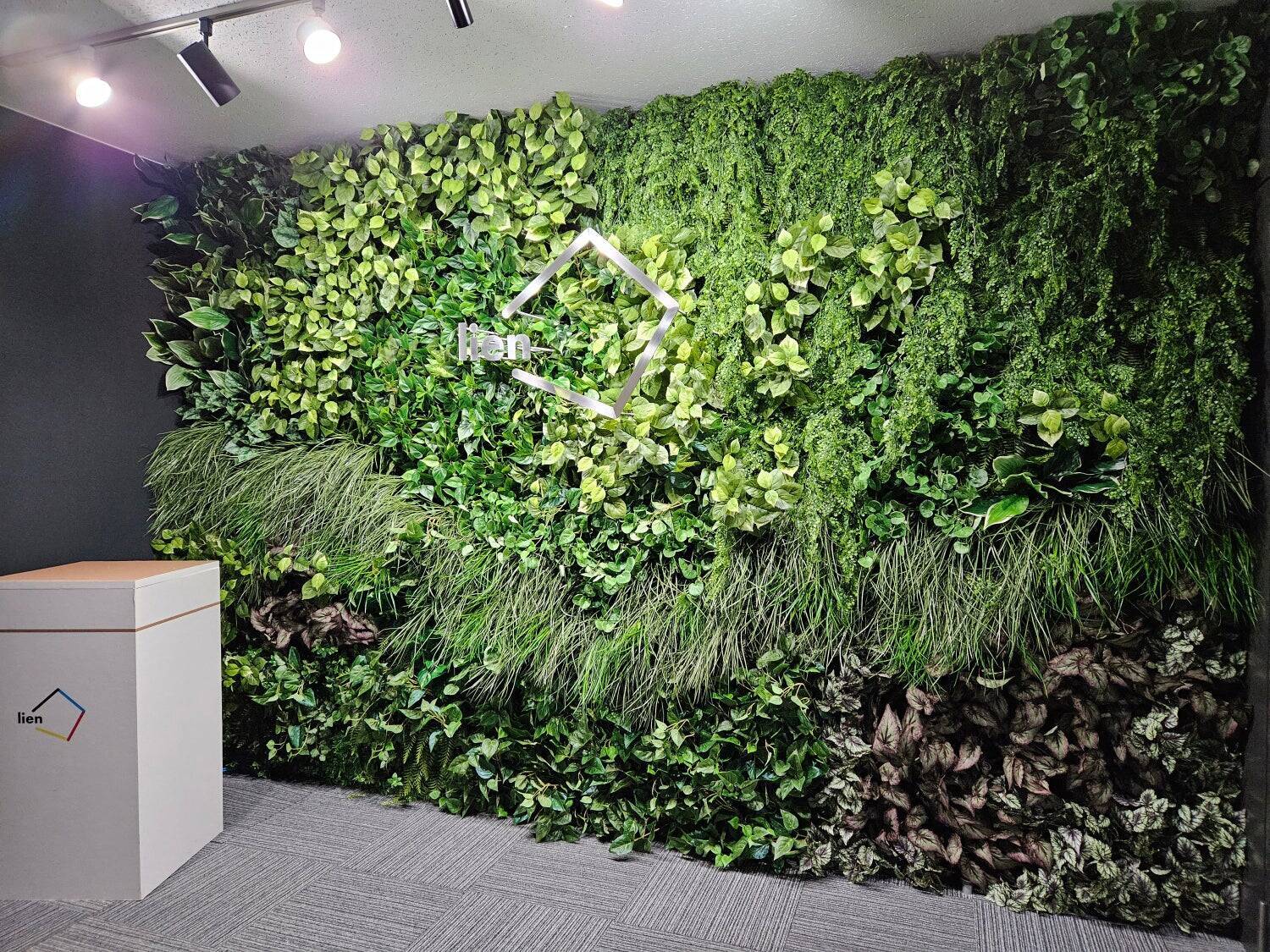 インテリア、内装、造園、花屋。そのすべてが「空間づくり」につながった。and collaboが提案する、植物のある豊かな暮らし。